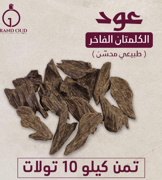 عود الكلمنتان ثمن كيلو (10 تولات )